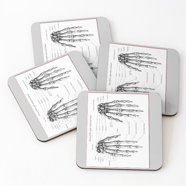 Item preview, The bones of the human right wrist and hand. designed and sold by Squirrox.