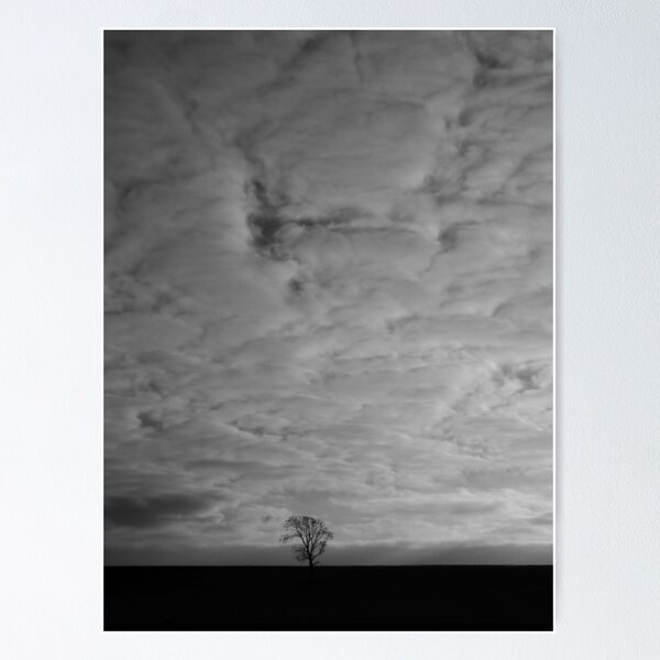 Artikelvorschau, un ciel Giganti et l'arbre solitaire entworfen und verkauft von indianpeteee.