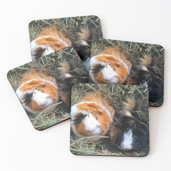 Item preview, Winnie And Hammie designed and sold by Fancieplants.