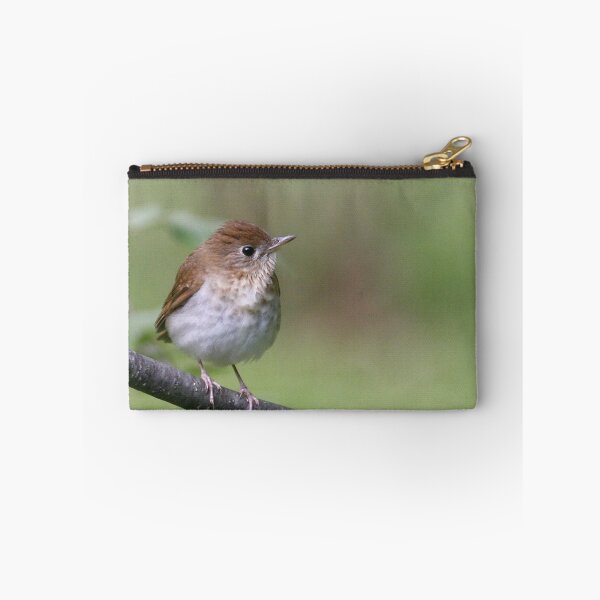 Item preview, Veery designed and sold by Enola Gay Wagner.