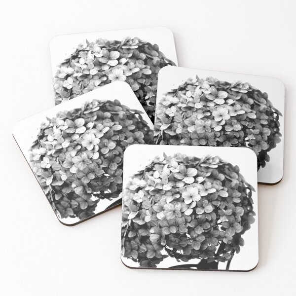 Item preview, Hortensia Hydrangea Flower Black and White designed and sold by anafrancisconi.