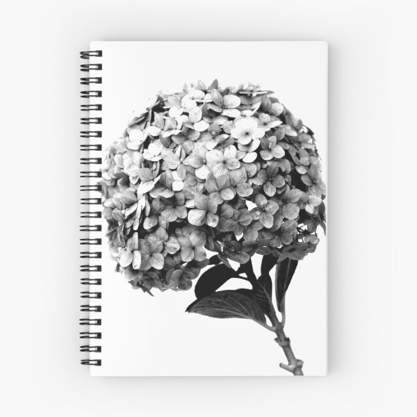 Item preview, Hortensia Hydrangea Flor Blanco y Negro designed and sold by anafrancisconi.