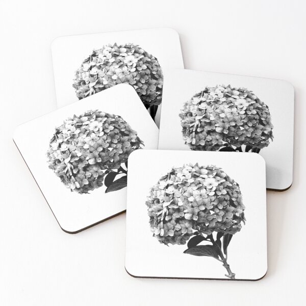 Item preview, Hortensia Hydrangea Flower Black and White designed and sold by anafrancisconi.