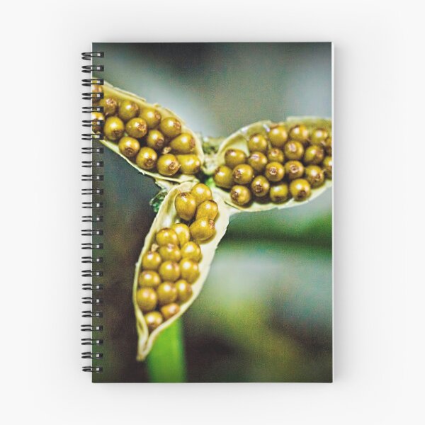 Item preview, Bursting Forth designed and sold by Colin Metcalf.
