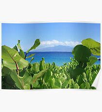 maui sea view Poster