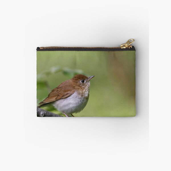 Item preview, Veery designed and sold by Enola Gay Wagner.