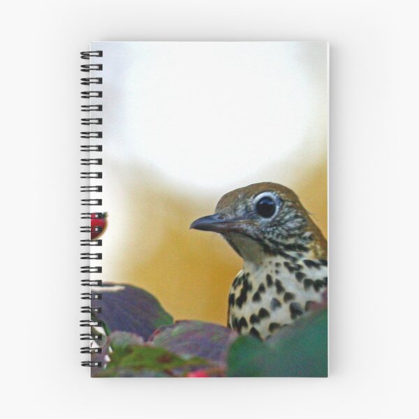 Item preview, Wood Thrush designed and sold by Enola Gay Wagner.
