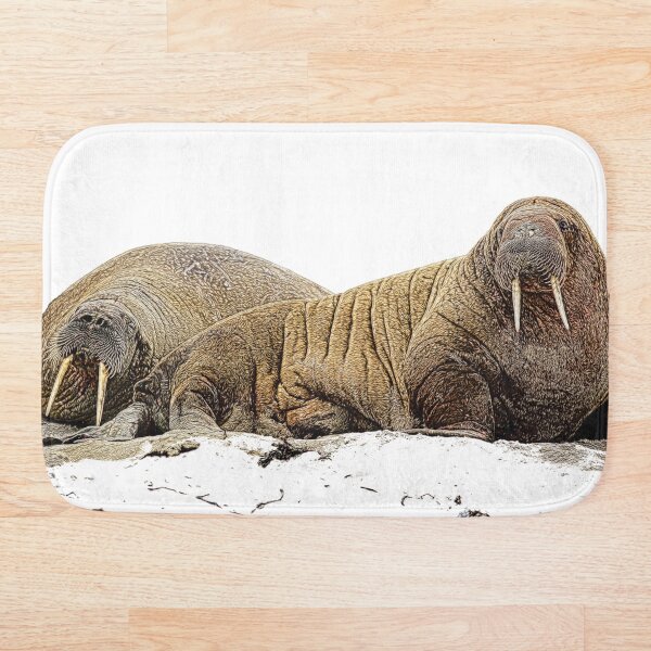 Women Men Seal And Walrus Pattern Cushion Crew Socks