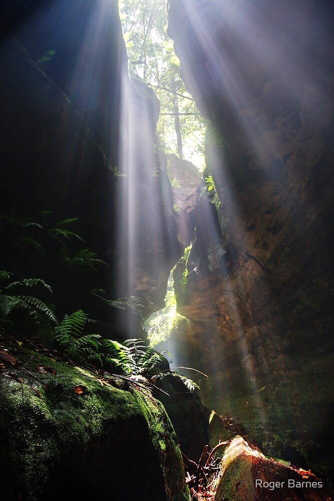 "Grand Canyon, Blue Mountains, Australia" by Roger Barnes  Redbubble