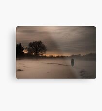 Suburbia Metal Print
