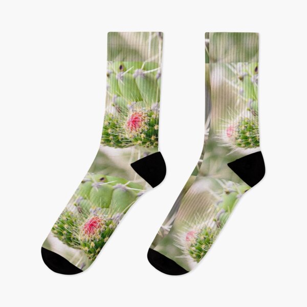 Item preview, Close up cactus designed and sold by raymona pooler.
