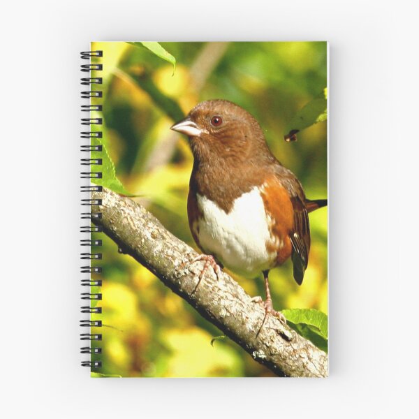 Item preview, Eastern Towhee designed and sold by Enola Gay Wagner.