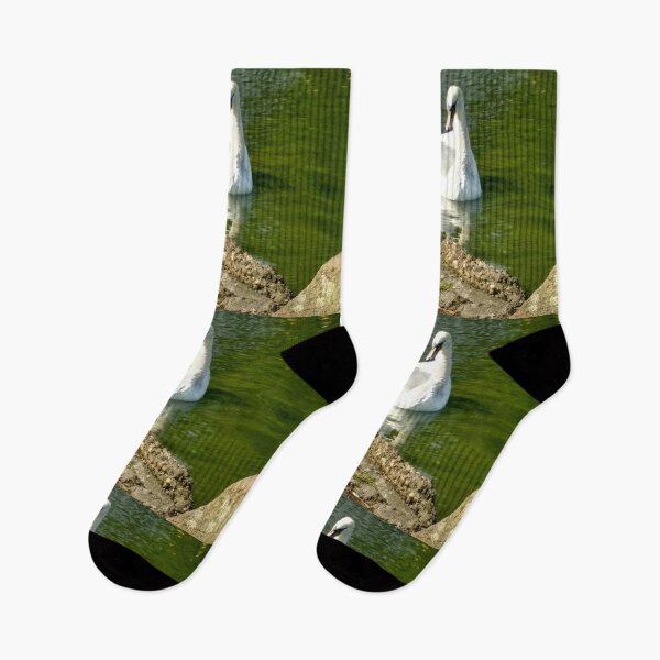 Item preview, #48 |☼| Swan - Shot 6 (Pearson Park) designed and sold by Naean H.F. (Nez Man).