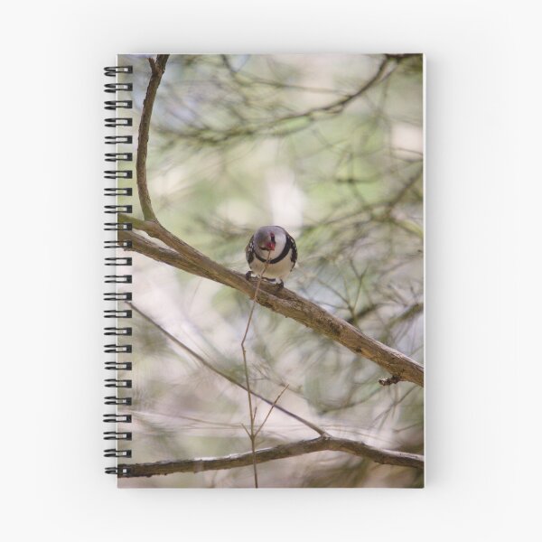 Item preview, Diamond Firetail designed and sold by inthewild.