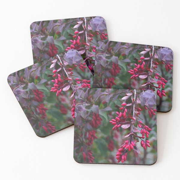 Item preview, Autumn berries designed and sold by Bluesrose.