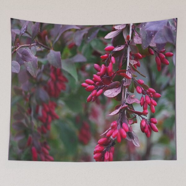 Item preview, Autumn berries designed and sold by Bluesrose.