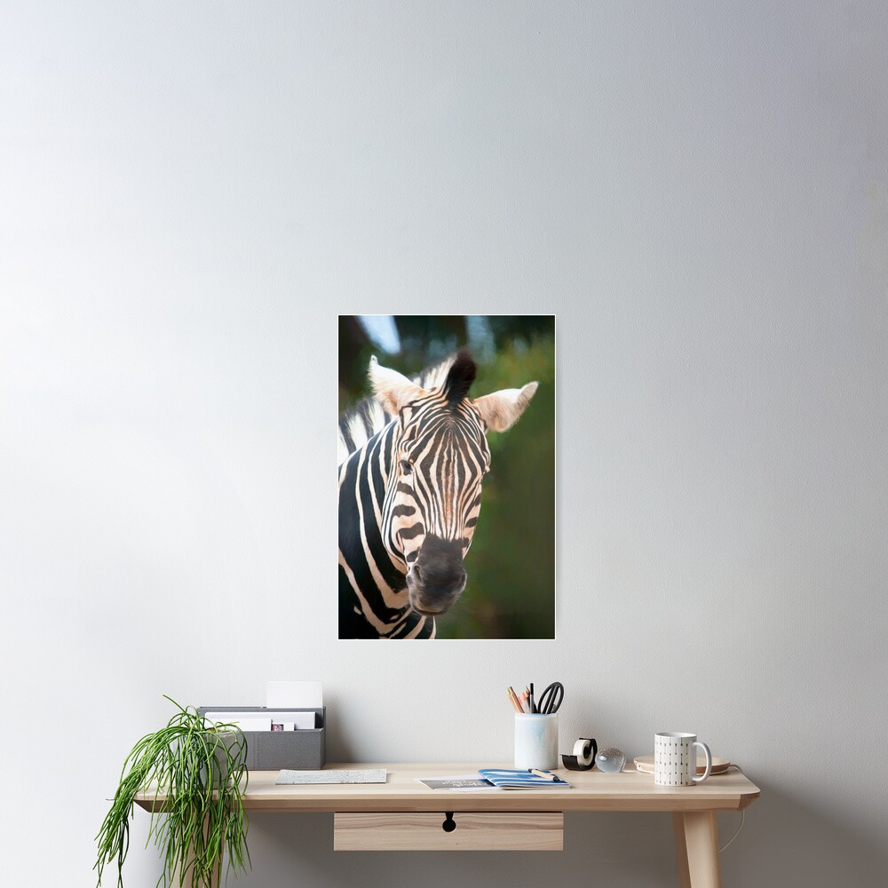 Curious Zebra (digital painting) Poster