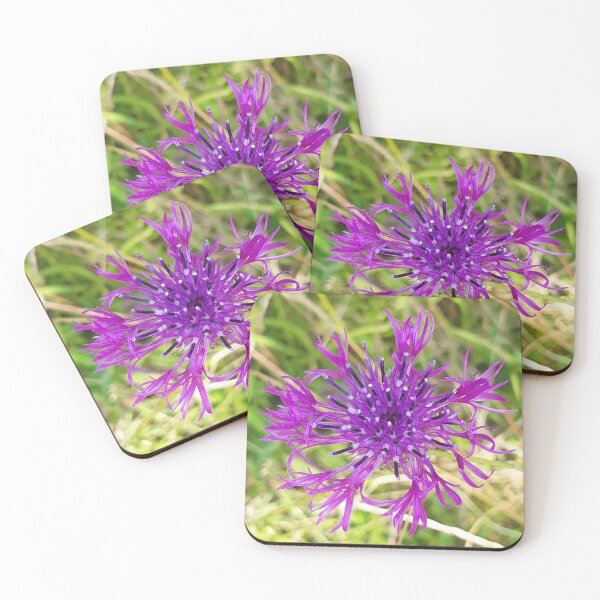 Item preview, Cornflower  designed and sold by Kimberlin6.