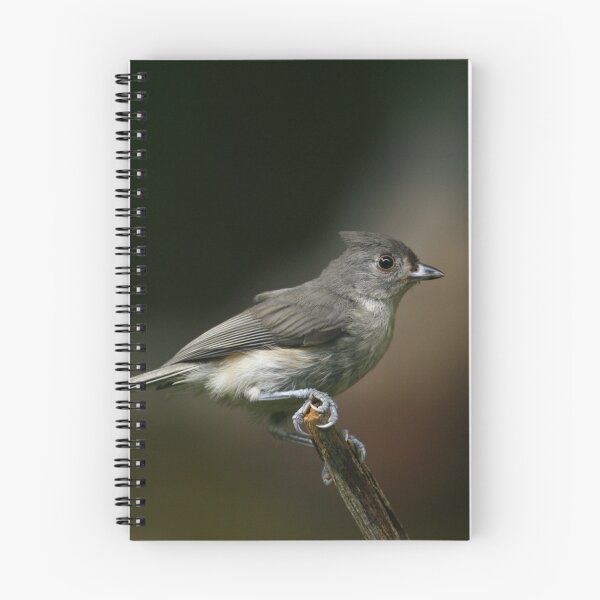 Item preview, Tufted Titmouse designed and sold by Enola Gay Wagner.