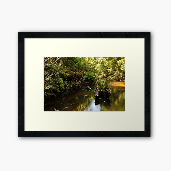 Another forgotten log Framed Art Print