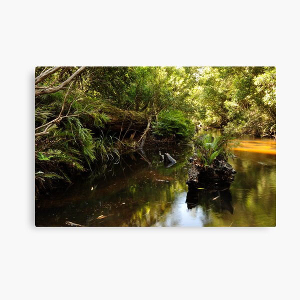 Another forgotten log Canvas Print