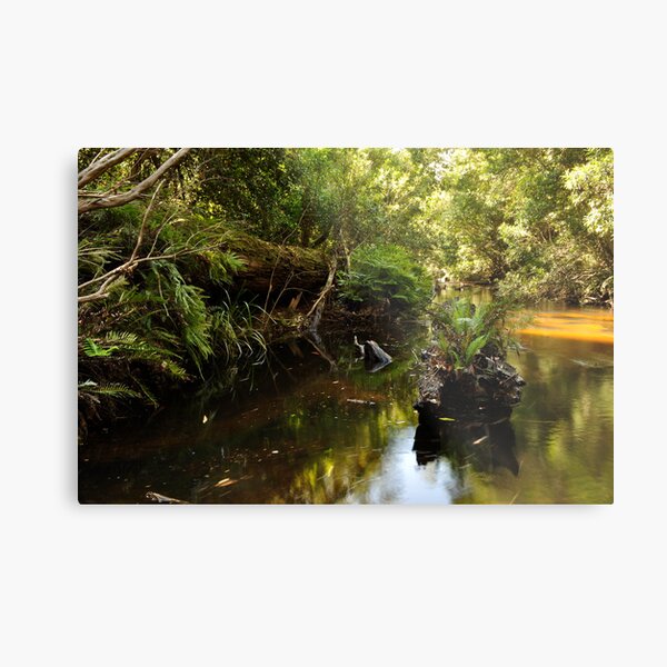 Another forgotten log Metal Print