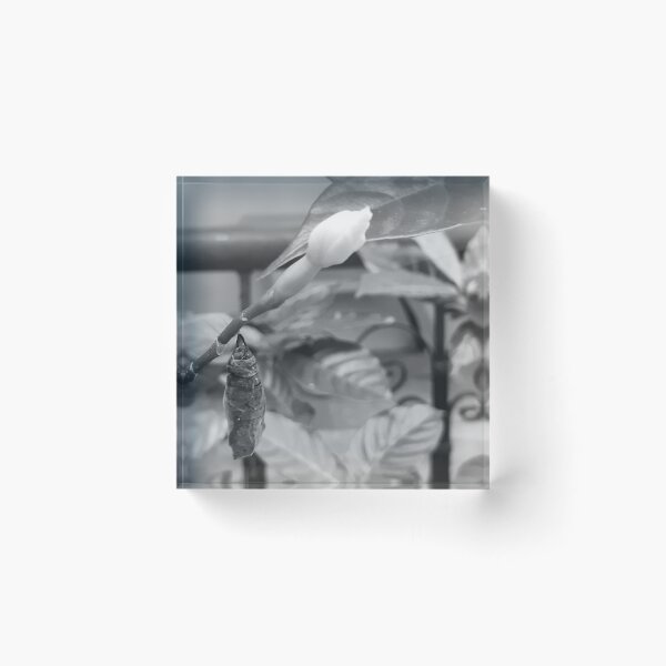 Item preview, Save the butterflies/Greyscale designed and sold by attracdionz.