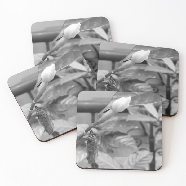 Item preview, Save the butterflies/Greyscale designed and sold by attracdionz.