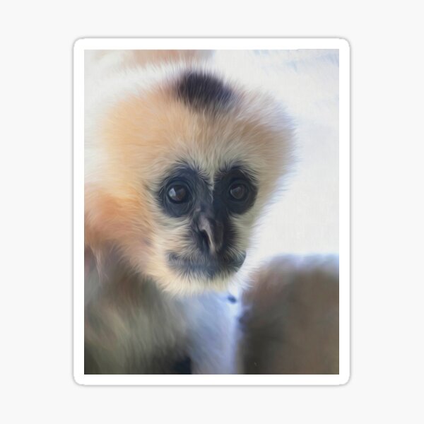 Monkey Face (digital painting) Sticker