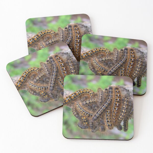 Item preview, Caterpillars designed and sold by AnnDixon.