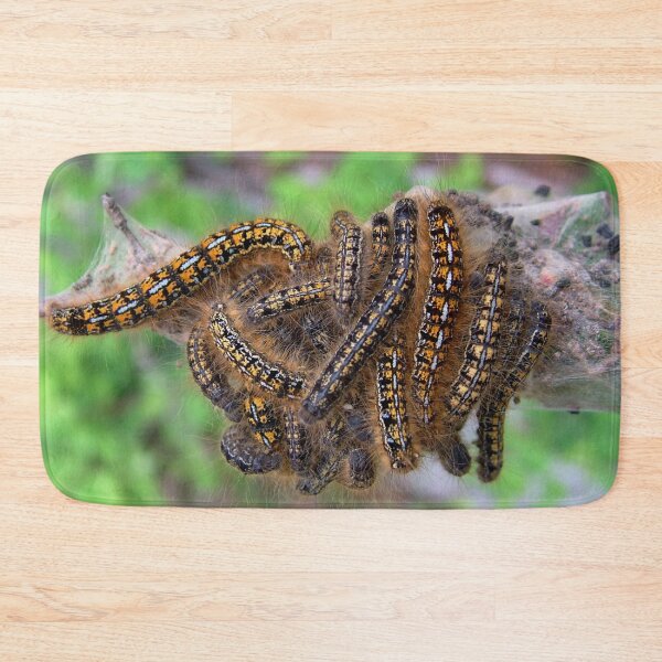 Item preview, Caterpillars designed and sold by AnnDixon.