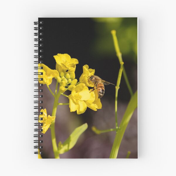 Item preview, Bee Happy designed and sold by Peter Hocking.