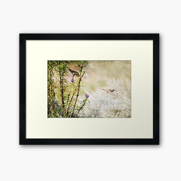 Hummingbird Garden Textured Framed Art Print
