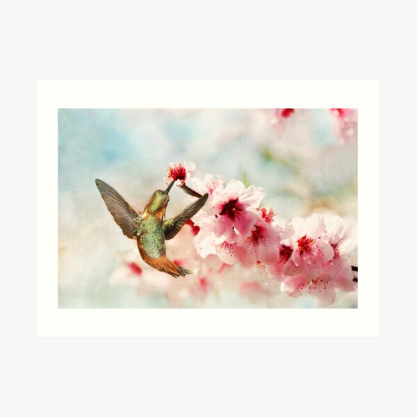 Magic in the Blossoms Art Print
