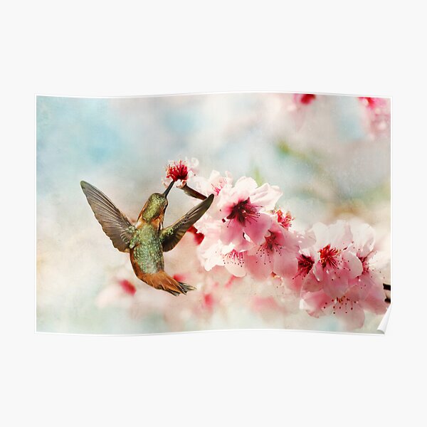 Magic in the Blossoms Poster