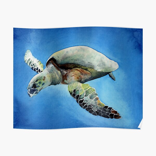 Endangered Marine Species Posters | Redbubble