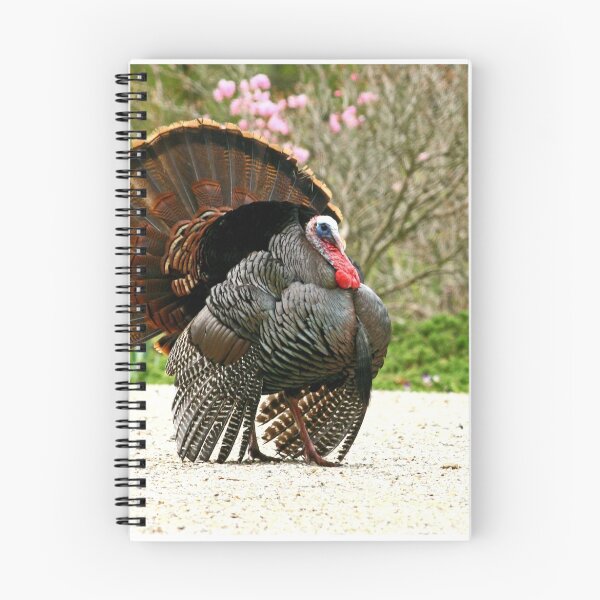 Item preview, Wild Turkey designed and sold by Enola Gay Wagner.