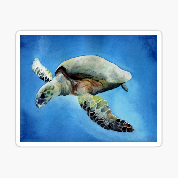 Sea Turtle Sticker