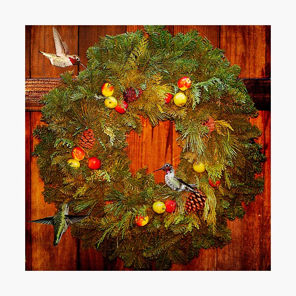 Happy Hummingbird Holidays Photographic Print
