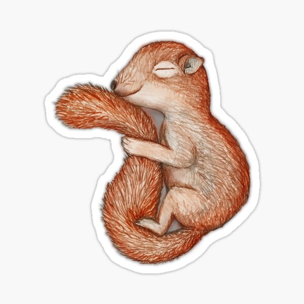 Artikel-Vorschau von Winterschlaf Eichhörnchen, designt und verkauft von Bwiselizzy.