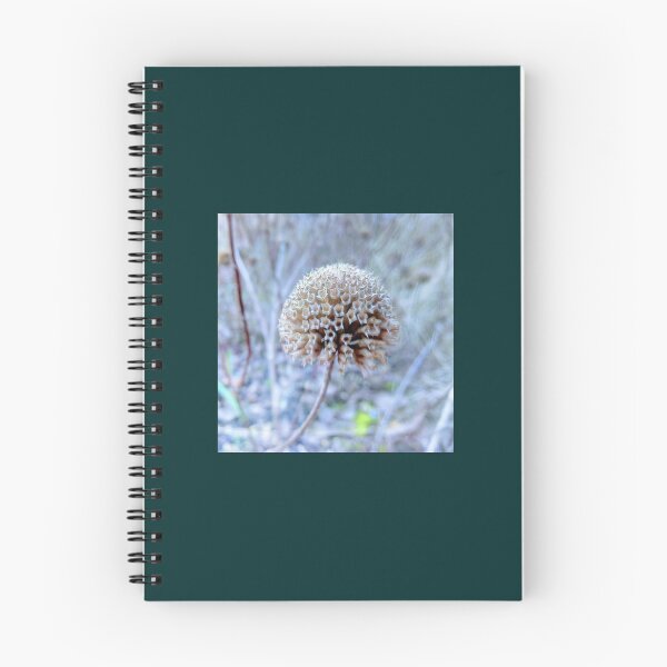 Item preview, Gaillardia designed and sold by Kimberlin6.
