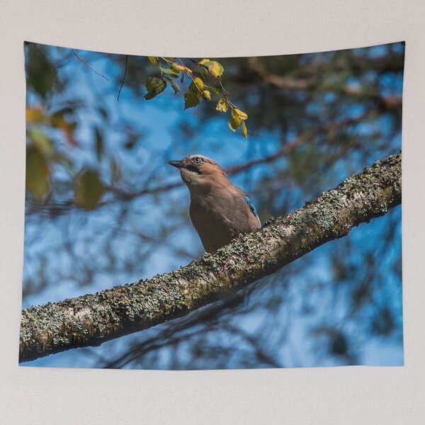 Item preview, Eurasian Jay in a Latvian Forest on an Autumn Day designed and sold by Jon Shore.
