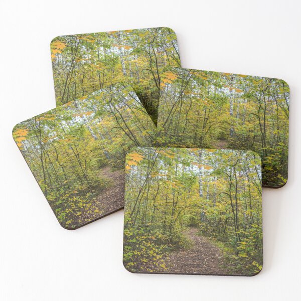 Item preview, Bright Yellow Autumn Leaves in a Latvian Forest designed and sold by Jon Shore.