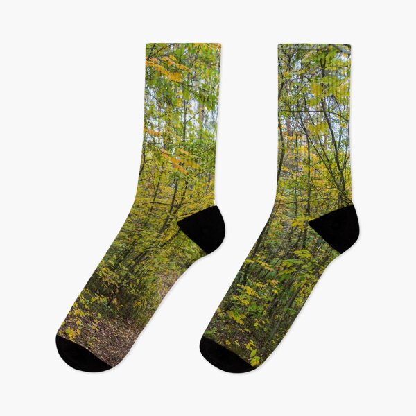 Item preview, Bright Yellow Autumn Leaves in a Latvian Forest designed and sold by Jon Shore.