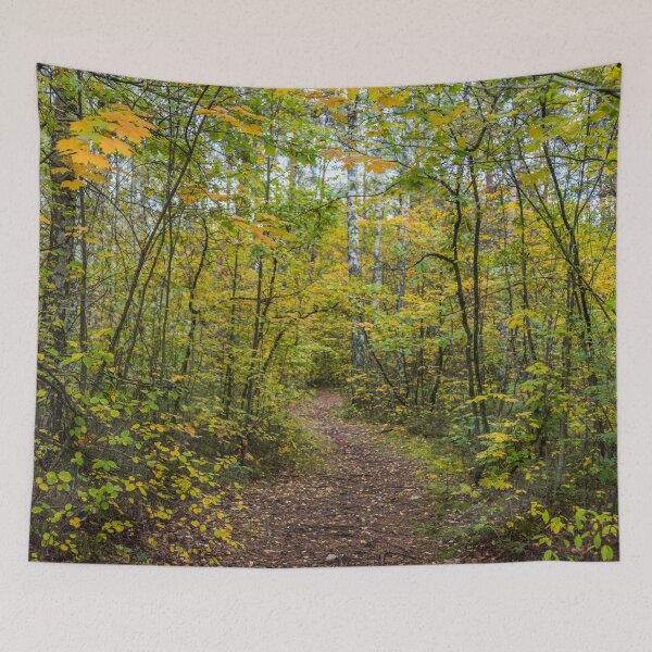 Item preview, Bright Yellow Autumn Leaves in a Latvian Forest designed and sold by Jon Shore.