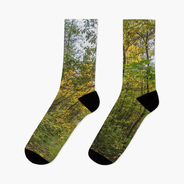 Item preview, Bright Yellow Autumn Leaves in a Latvian Forest designed and sold by Jon Shore.
