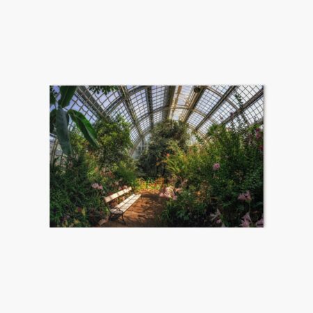 Item preview, Schonbrunn Palmenhaus view designed and sold by aaronchoi.