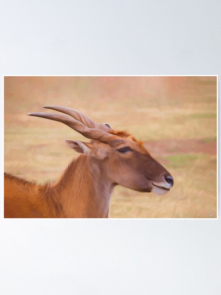 Alternate view of Elegant Eland (digital painting) Poster