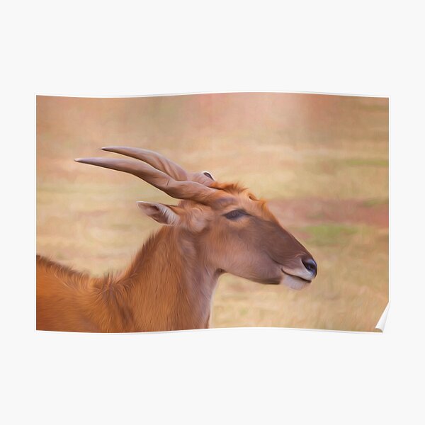 Elegant Eland (digital painting) Poster