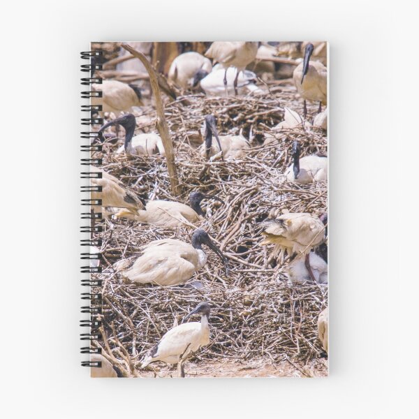 Item preview, White Ibis Nesting designed and sold by inthewild.
